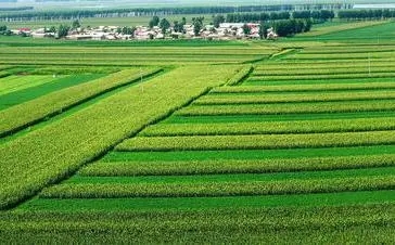 農(nóng)田建設.webp.jpg 農(nóng)田建設.webp.jpg