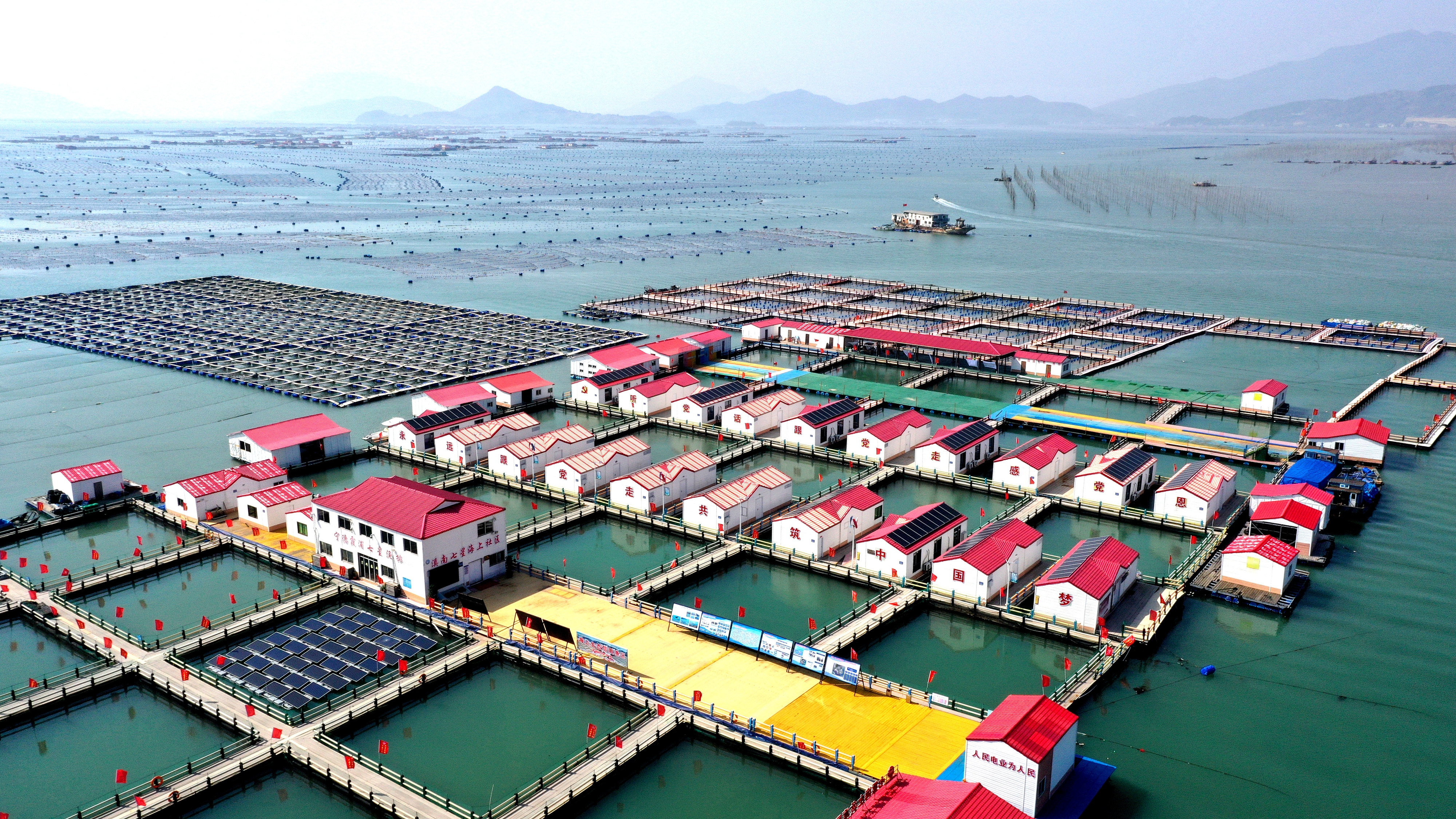 2024年3月20日，福建省寧德市，霞浦縣溪南鎮(zhèn)七星村漁排養(yǎng)殖示范區(qū)，漁民駕駛養(yǎng)殖船進(jìn)行海參養(yǎng)殖作業(yè)。