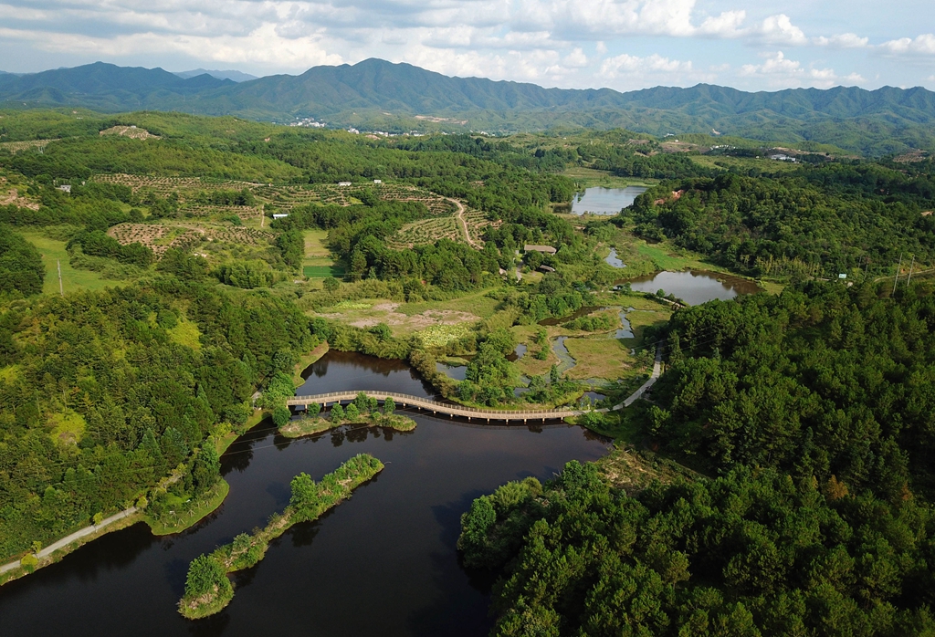 福建省龍巖市長(zhǎng)汀縣的長(zhǎng)汀汀江國(guó)家濕地公園景色（2020年7月28日攝，無(wú)人機(jī)照片）。新華社記者 魏培全 攝