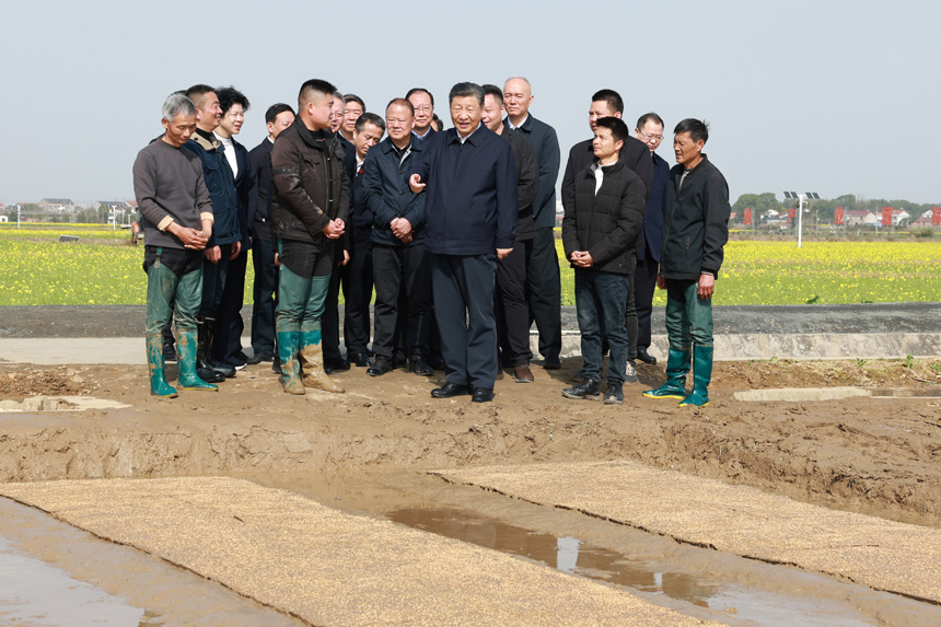 2024年3月18日至21日，中共中央總書記、國家主席、中央軍委主席習近平在湖南考察。這是19日下午，習近平在常德市鼎城區(qū)謝家鋪鎮(zhèn)港中坪村走進田間，察看秧苗培育和春耕備耕進展。新華社記者 王曄 攝